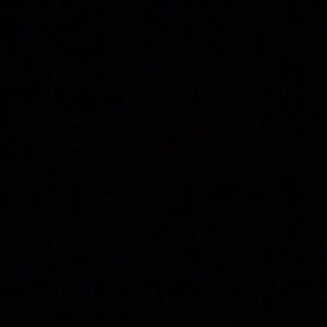 Meet your Posher, Rhianon